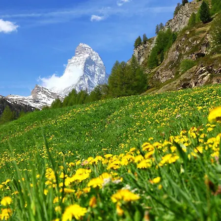 Apartment Armina By Interhome Zermatt